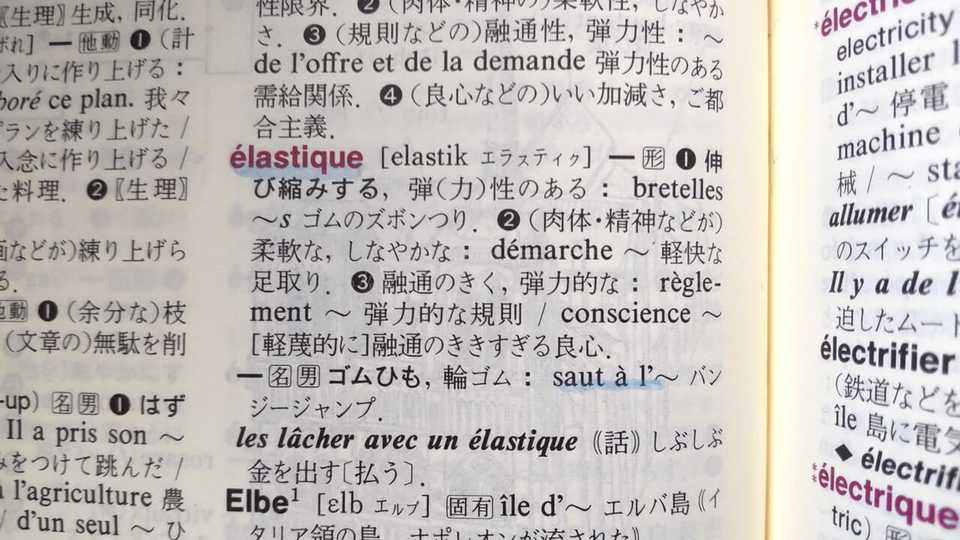 ディコ仏和辞典