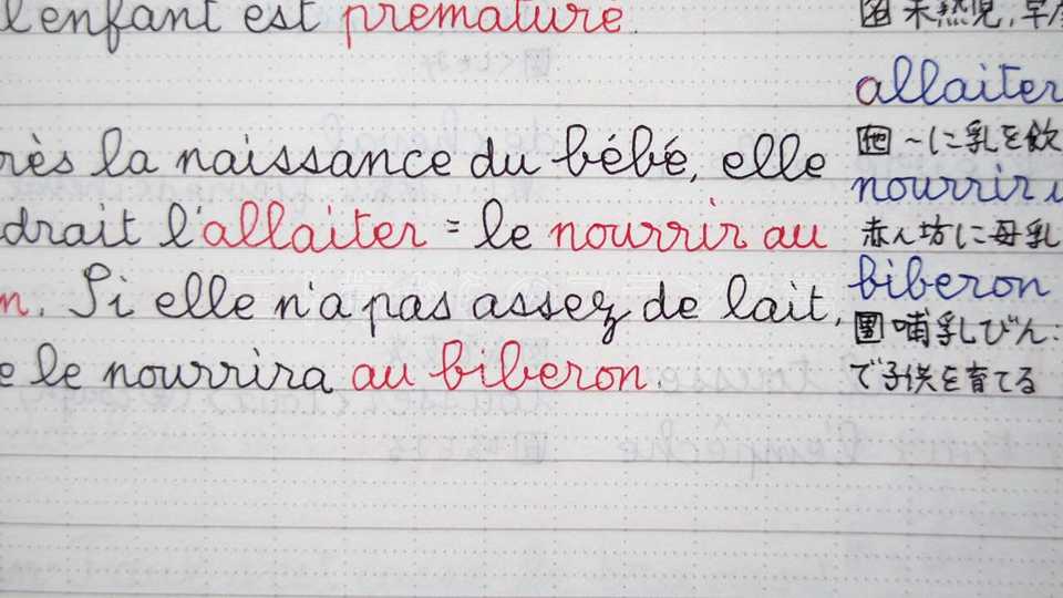 ナカバヤシ ロジカルノートのドット