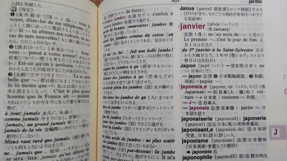 ディコ仏和辞典